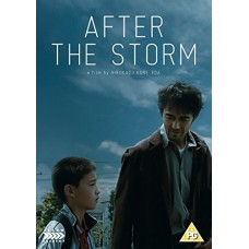 FILME-AFTER THE STORM (DVD)