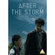 FILME-AFTER THE STORM (DVD)