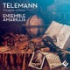 G.P. TELEMANN-VOYAGEUR VIRTUOSE - WORKS (CD)