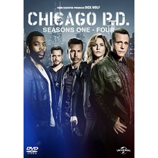 SÉRIES TV-CHICAGO P.D... -BOX SET- (22DVD)