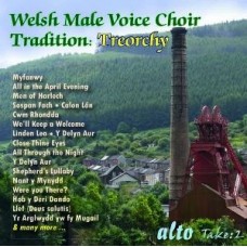 TREORCHY MALE VOICE CHOIR-WELSH MALE VOICE CHOIR.. (CD)