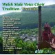TREORCHY MALE VOICE CHOIR-WELSH MALE VOICE CHOIR.. (CD)