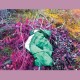 DREAMDECAY-N V N V N V (LP)