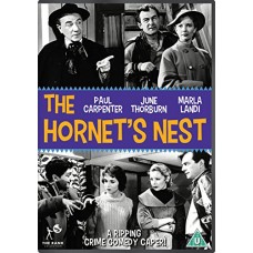 FILME-HORNET'S NEST (DVD)