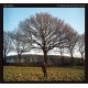 JIM GHEDI-A HYMN FOR ANCIENT LAND (CD)