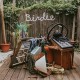 DOG SLAUGHTER BEACH-BIRDIE (LP)