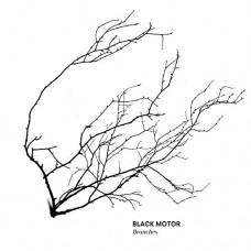 BLACK MOTOR-BRANCHES (CD)