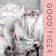 GOOD TIGER-WE WILL ALL BE GONE (CD)