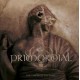 PRIMORDIAL-EXILE AMONGST THE RUINS (CD)