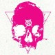 HIRS COLLECTIVE-FIRST 100 SONGS (LP)