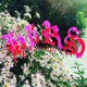 HIRS COLLECTIVE-FRIENDS LOVERS FAVORITES (CD)