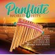 V/A-PANFLUTE WORLD HITS (2CD)