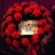 STRANGLERS-NO MORE HEROES -EXPANDED- (CD)