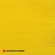 EVERYTHING IS RECORDED-EVERYTHING IS RECORDED (LP)