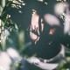 HENRY GREEN-SHIFT (CD)