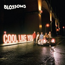 BLOSSOMS-COOL LIKE YOU (CD)
