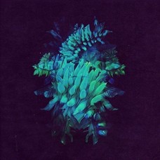 FAKEAR-ALL GLOWS (2LP)