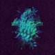 FAKEAR-ALL GLOWS (2LP)