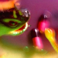 BUSH TETRAS-TAKE THE FALL (LP)