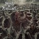 SPIRIT OF REBELLION-REIGN OF DENIAL (CD)
