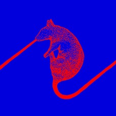 DWARFS OF EAST AGOUZA-RATS DON'T EAT.. (LP)