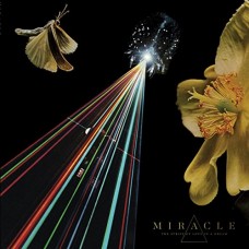 MIRACLE-STRIFE OF LOVE IN A DREAM (CD)