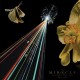 MIRACLE-STRIFE OF LOVE IN A DREAM (CD)