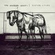 WONDER YEARS-SISTER CITIES (LP)