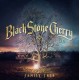 BLACK STONE CHERRY-FAMILY TREE (CD)