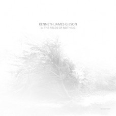 KENNETH JAMES GIBSON-IN THE FIELDS OF NOTHING (CD)
