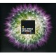 V/A-30-REAL WORLD AT WOMAD (2CD)