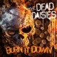 DEAD DAISIES-BURN IT DOWN-PD/GATEFOLD- (LP)