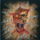 LIFE FUCKER-Z (LP)