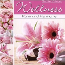 V/A-WELLNESS - RUHE &.. (CD)