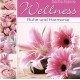 V/A-WELLNESS - RUHE &.. (CD)