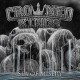 CROWNED KINGS-SEA OF MISERY (LP)
