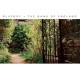 BLUEBOY-BANK OF ENGLAND -REISSUE- (LP)