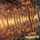 CALIBRO 35-DECADE (CD)