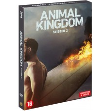 SÉRIES TV-ANIMAL KINGDOM SEASON 2 (3DVD)