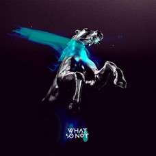 WHAT SO NOT-NOT ALL THE BEAUTIFUL.. (CD)