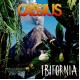CASSIUS-IBIFORNIA (2LP+CD)