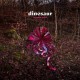 DINOSAUR-WONDER TRAIL (LP)