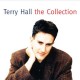 TERRY HALL-COLLECTION -DIGI- (CD)