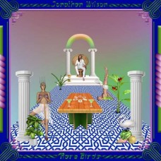 JONATHAN WILSON-RARE BIRDS (CD)
