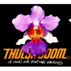 THULSA DOOM-A KEEN EYE FOR THE OBVIOU (LP)