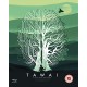 DOCUMENTÁRIO-TAWAI - A VOICE FROM.. (DVD)