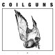 COILGUNS-A & B (2011-2012) (LP)