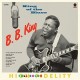 B.B. KING-KING OF THE BLUES -HQ- (LP)