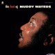 MUDDY WATERS-BEST OF -HQ/BONUS TR/LTD- (LP)