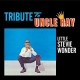STEVIE WONDER-TRIBUTE TO UNCLE RAY/.. (CD)